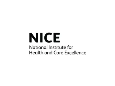 nice logo