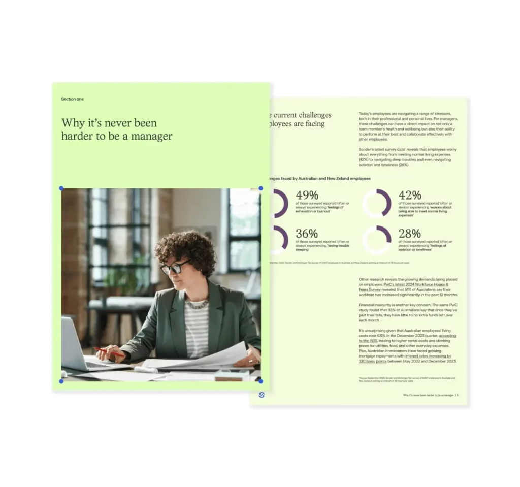 A manager's guide visual preview
