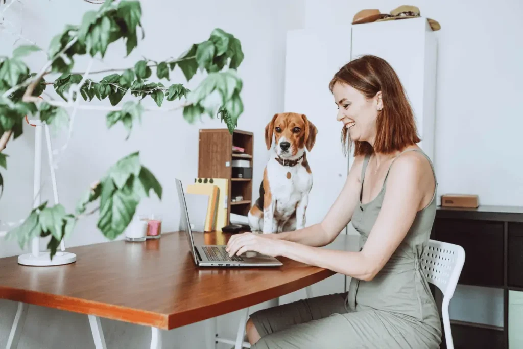 Happy woman on her laptop, watched by her puppy dog