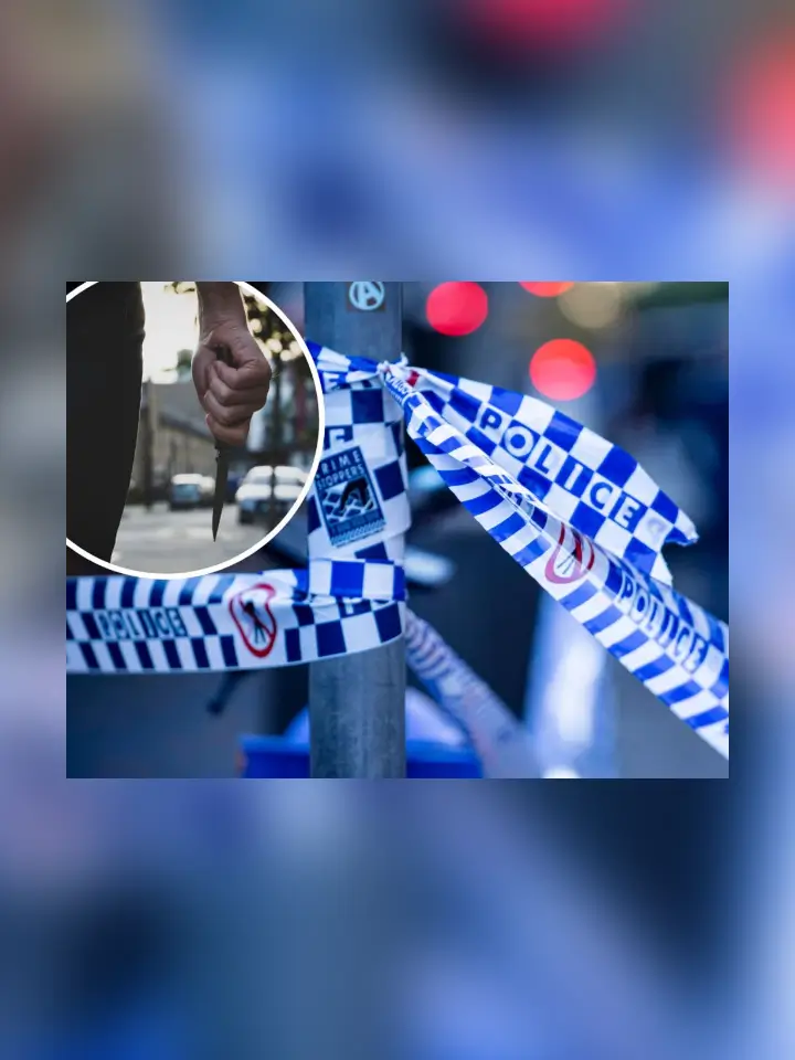 Sonder in the media thumbnail image