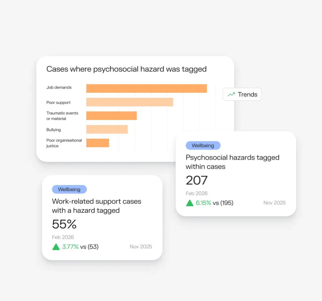 Sonder Data and Insights