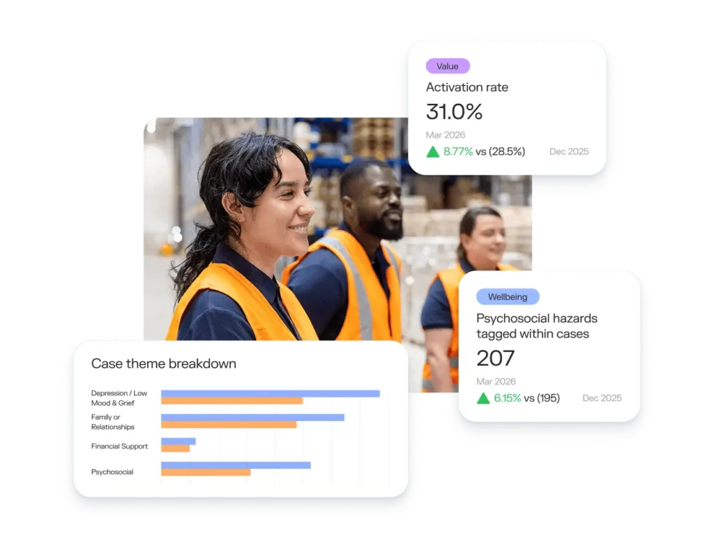 Sonder Data and Insights