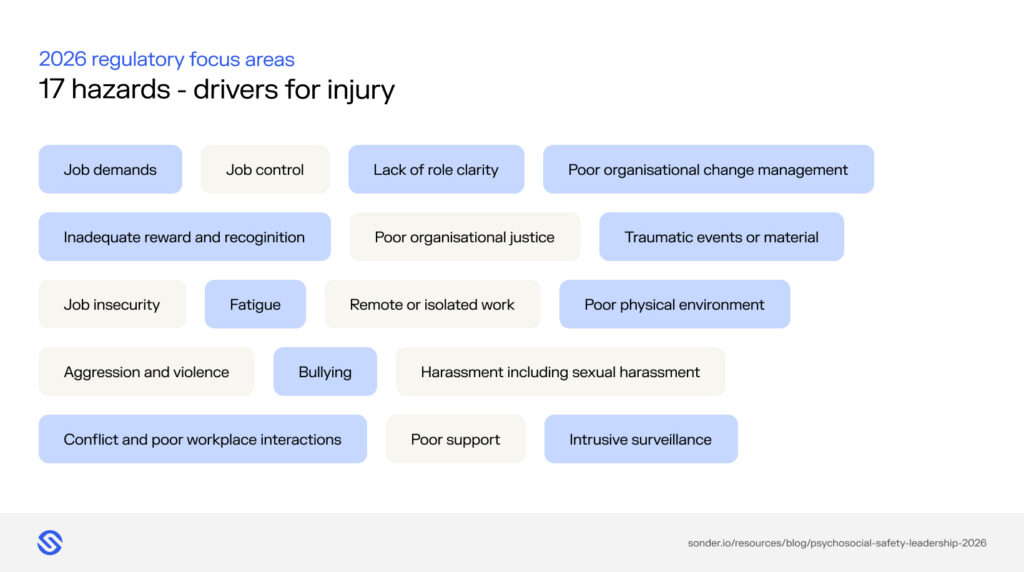 Infographic showing the 17 recognised psychosocial hazards